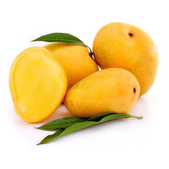 Kesar Aam, Mango